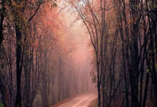 刘诗雯，有新身份：广东省乒乓球协会常务执行会长中国新闻网.