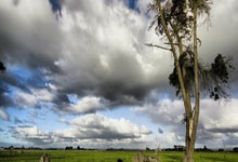 巴萨胜诉！西媒：CSD支持巴萨申诉 奥尔莫和维克托本赛季注册有效.