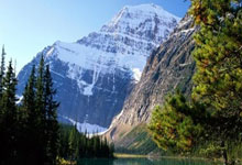 竞技宝JJB官网：[国内球]中国球职业联赛联合会正式成立.