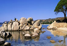 竞技宝JJB官网：三外援65分辽宁男篮战胜山东排名第四，浙江广厦瑟瑟发抖.